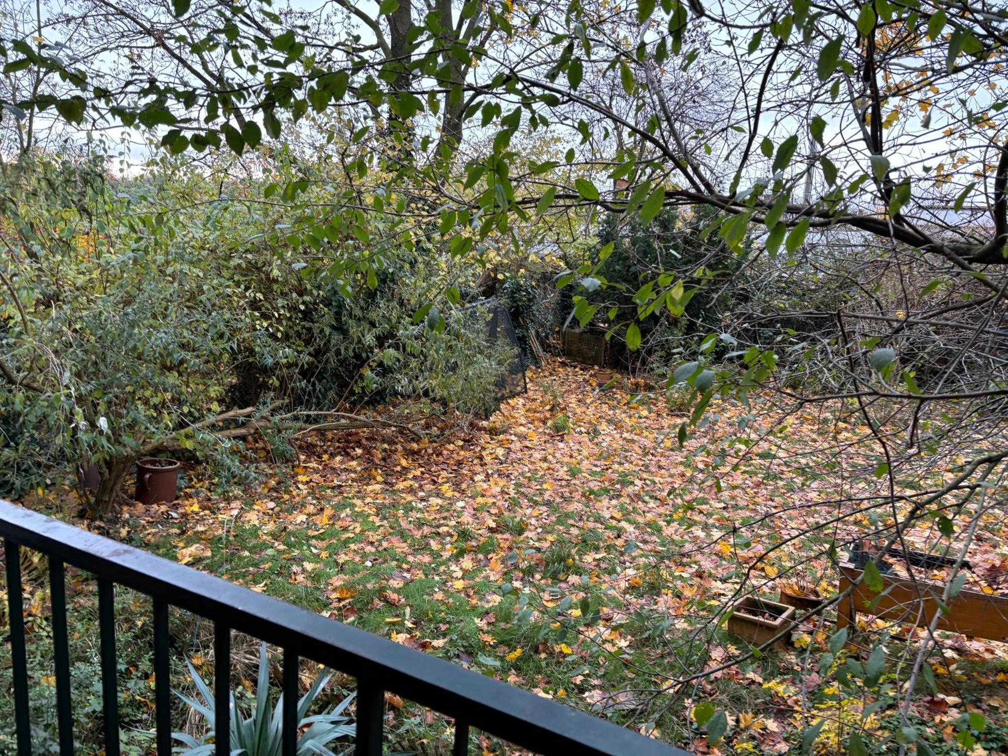 Apartment 4 Min Naehe Von Hbf Und Dom Mit Garten ,balkon & Office